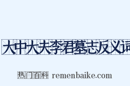 大中大夫李君墓志反义词是什么意思的图片